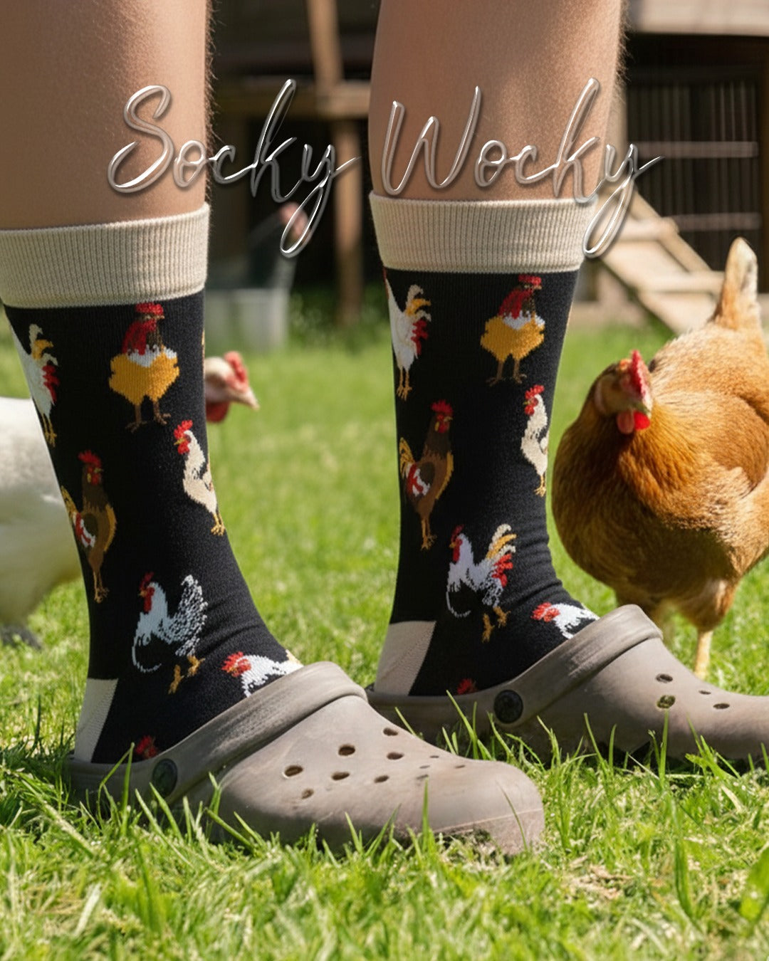 Chicken Black Socks Farmyard Design